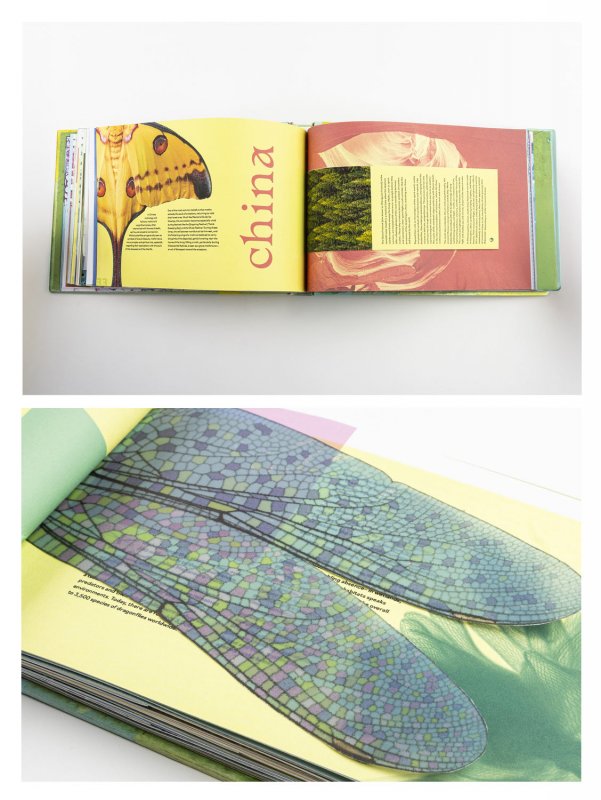 Metamorphosis - Image 3