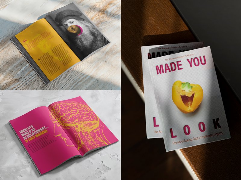 Made You Look: The Art of Seeing Faces in Inanimate Objects - Image 2