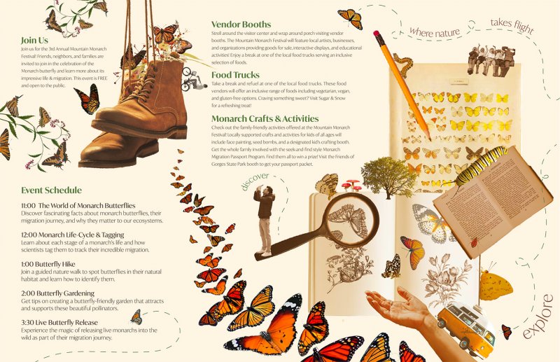 Monarch Brochure - Image 3