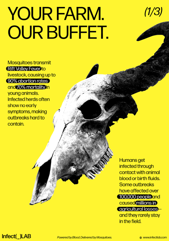 Infect(_)LAB Mosquito Global Impact Report Campaign - Image 1